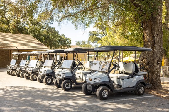 Golf Cart Rentals