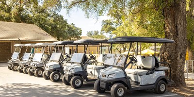 Activities for July 20 - 26