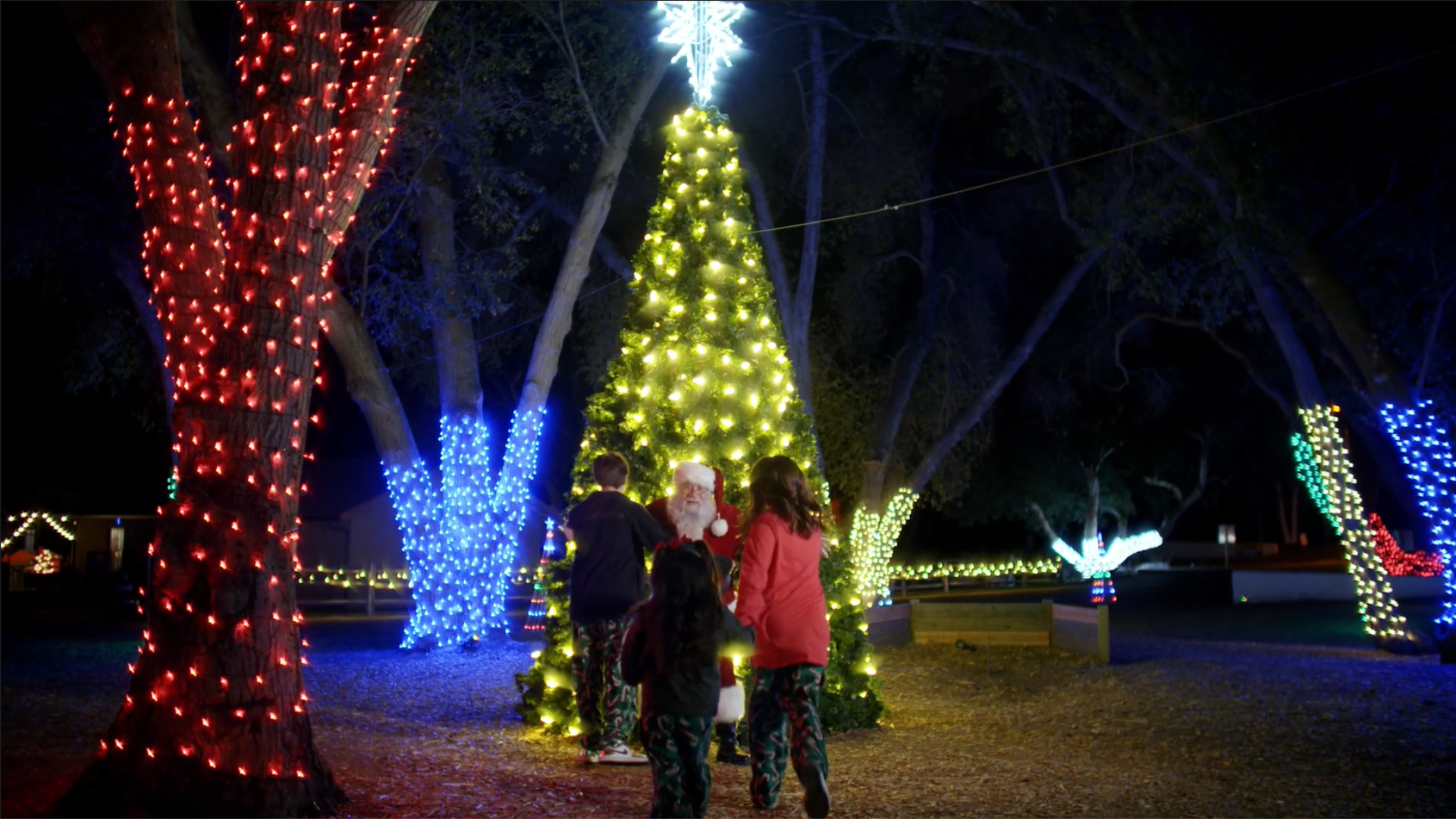 Light Up The Park: Annual Holiday Light Ceremony Photo