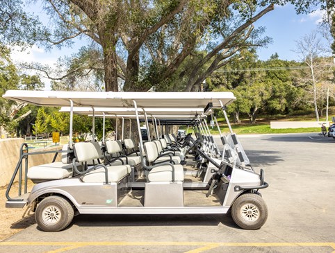 Golf Cart $49 Mon-Thur Photo
