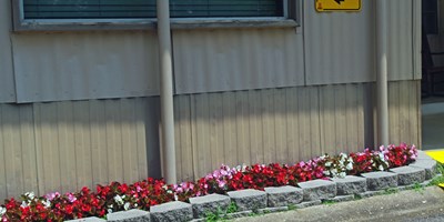 Summer Flowers at Texarkana KOA