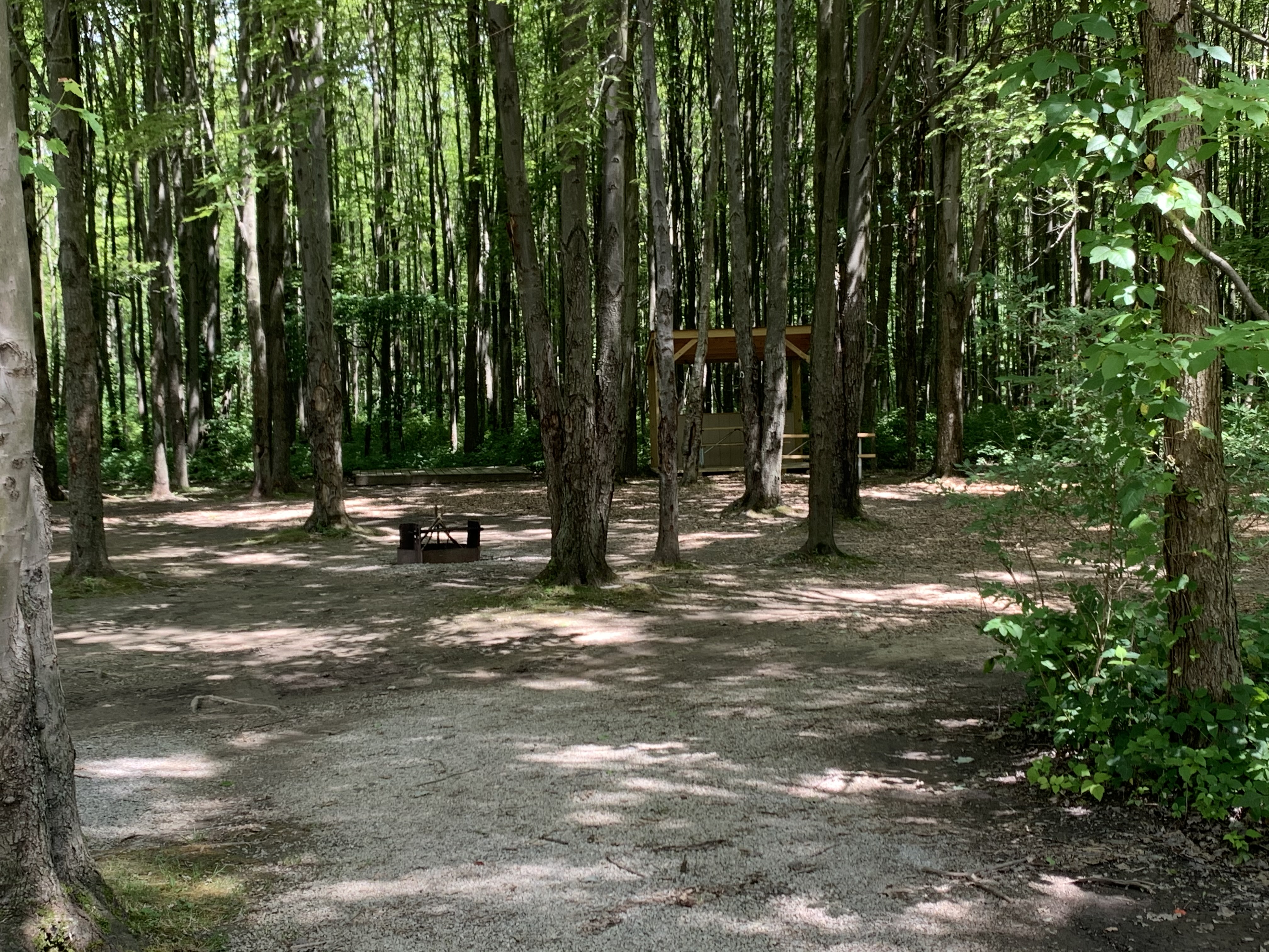 Tent Section