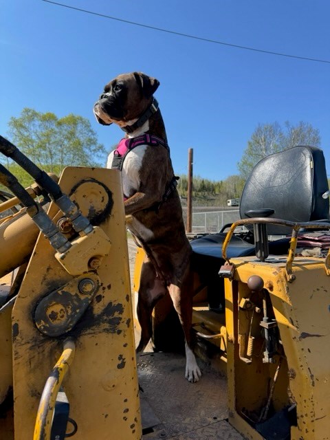 New Member To The Team!