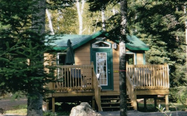 Deluxe Studio cabin