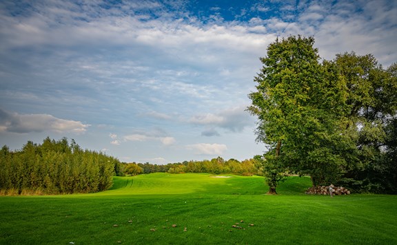 Old Toccoa Farm Golf