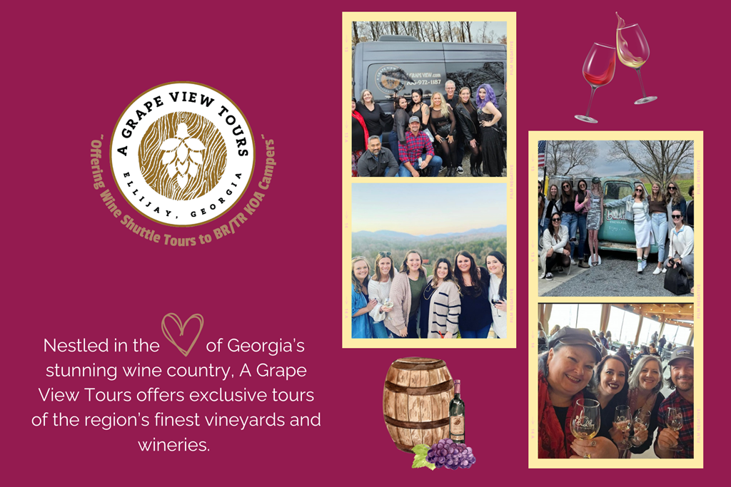A Grape View Tours