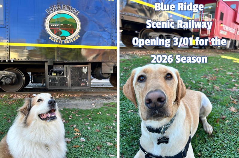 Blue Ridge Scenic Railway Photo
