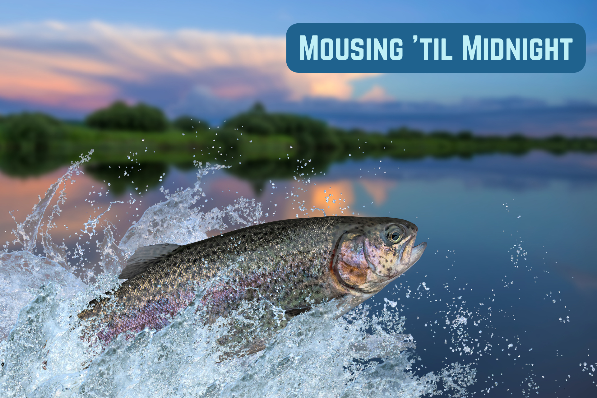 Mousing 'til Midnight Photo