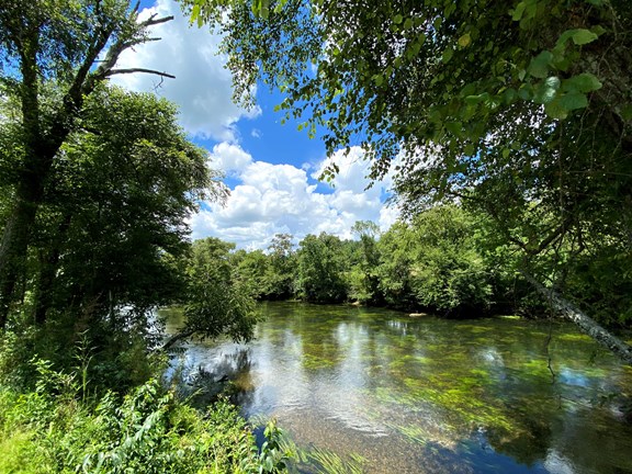 Toccoa River - River Access View