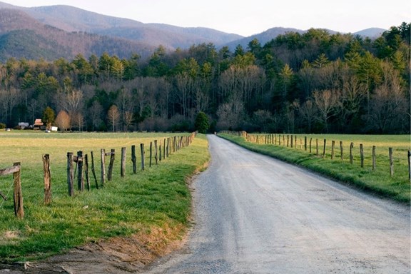 Scenic Drives