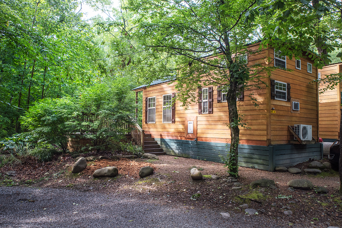 Deluxe Cabin (Full Bath with Shower) Riverfront, Loft Unit-12