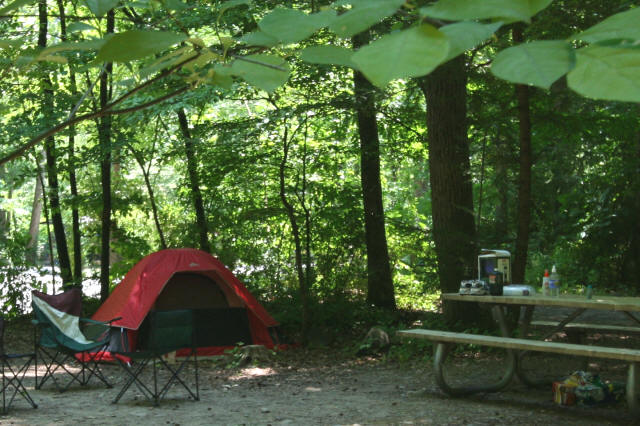 Primitive Tent Site-1