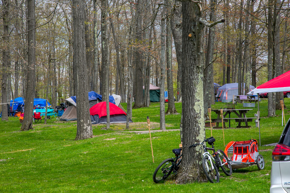 Tent Site