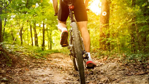 World Class Mountain Biking