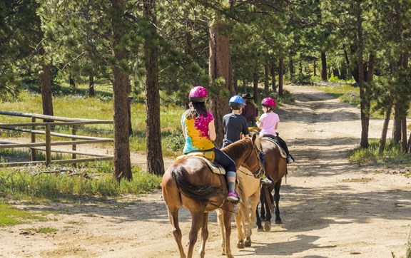 NorCal Trail Rides
