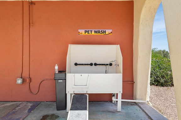 Pet Wash
