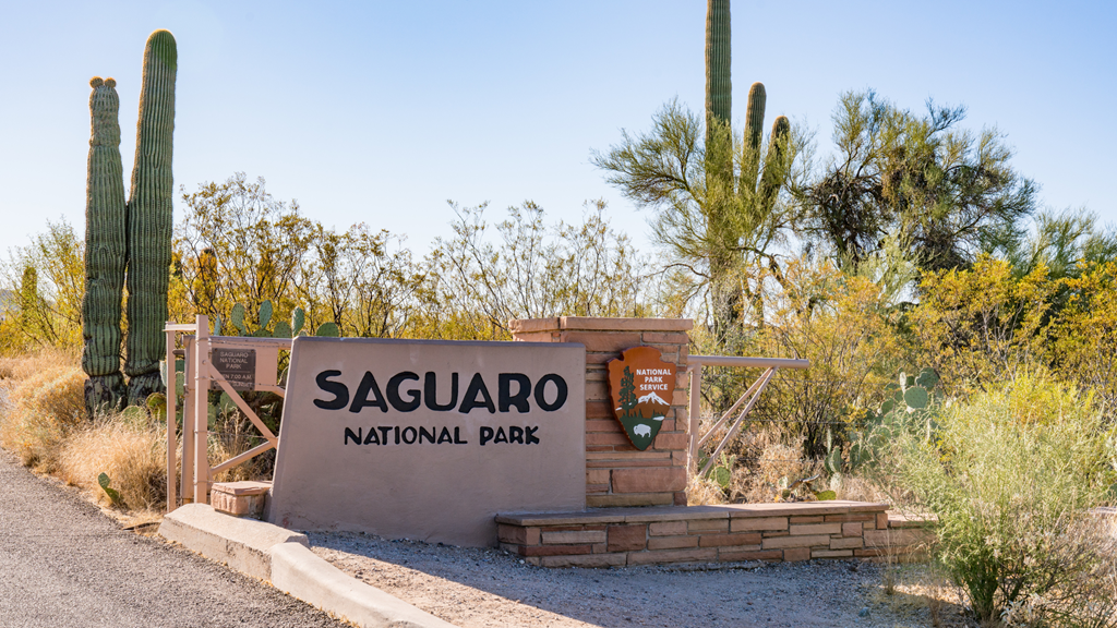 Your Guide to Visiting Saguaro National Park