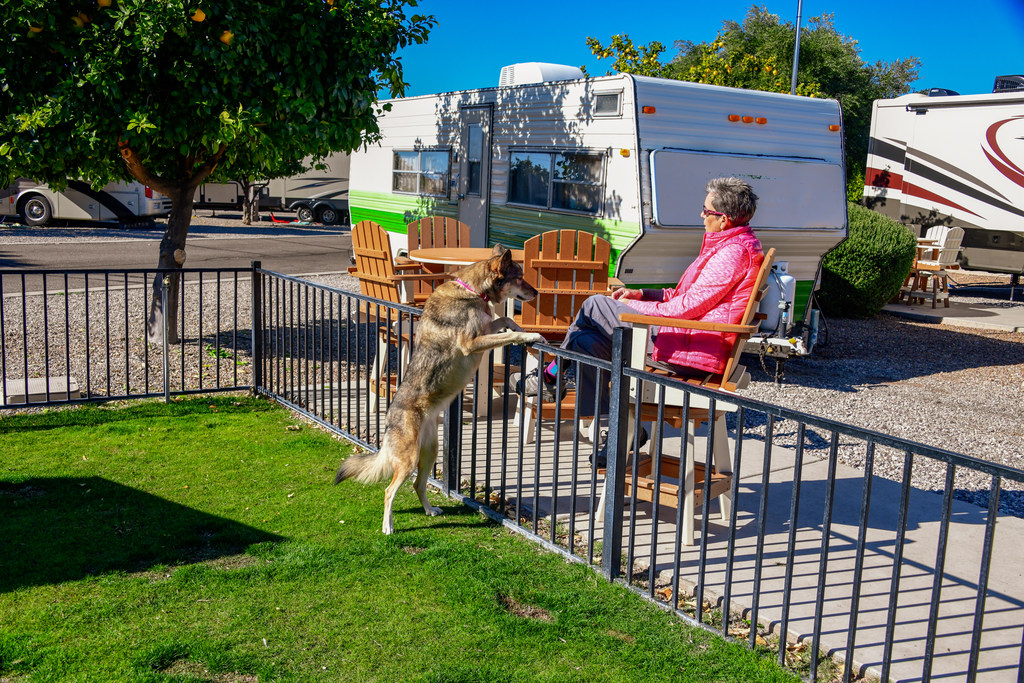 Back-in RV Sites with dog area