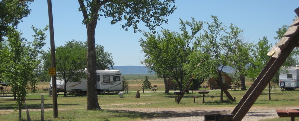 Long pull-thru sites, some with shade and grass