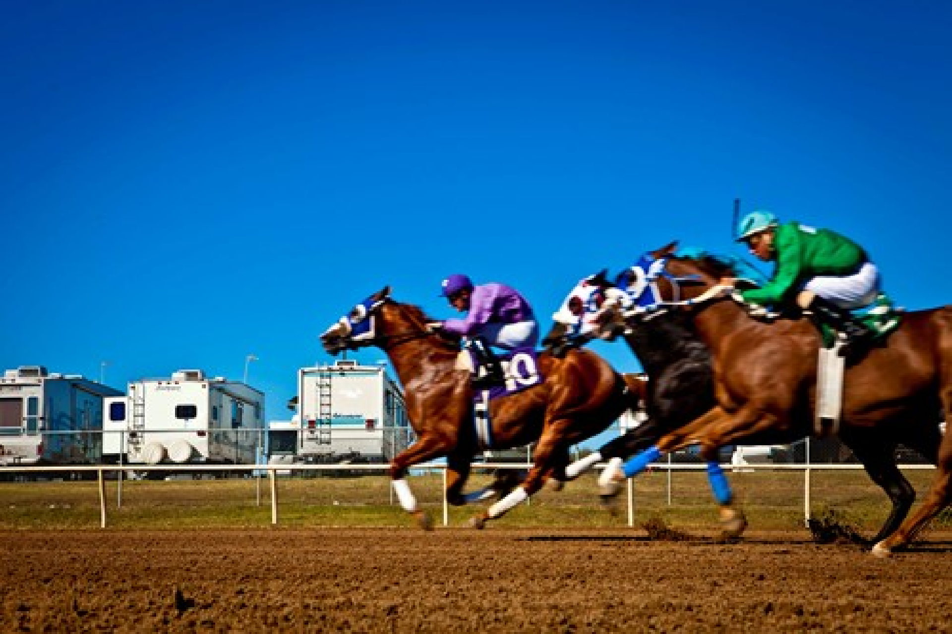 Live Quarter Horse Racing Photo