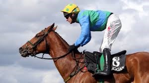 Live Quarter Horse Racing Photo