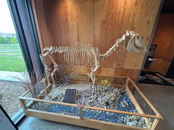 Hagerman Fossil Beds National Monument: Idaho's Window Into the Past