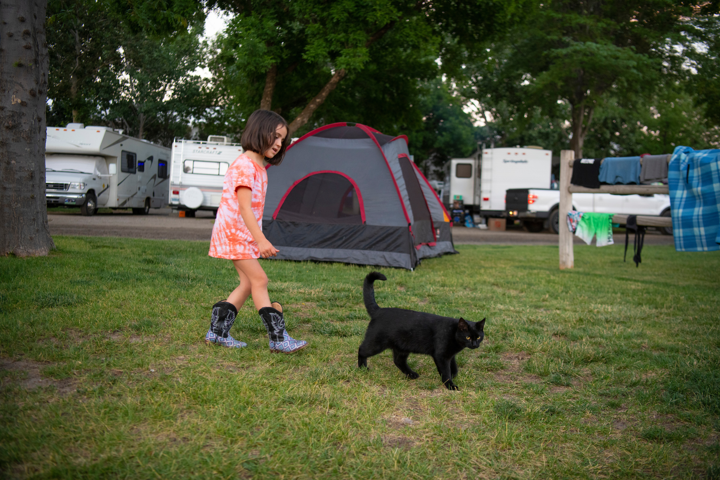Playing with a furry friend while camping