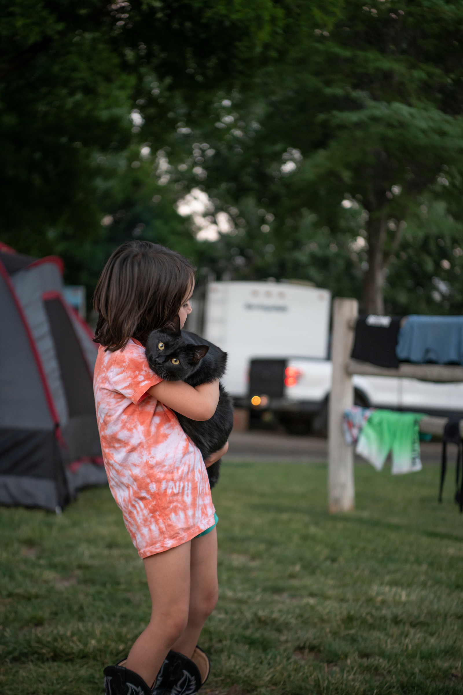 Cats need hugs even when camping