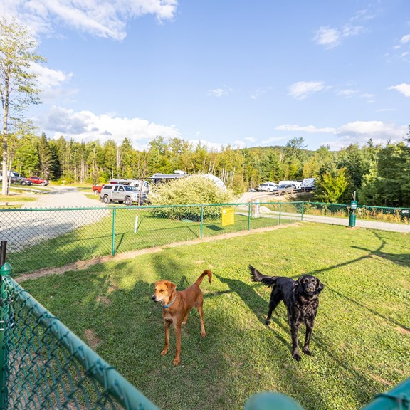 Kamp K9