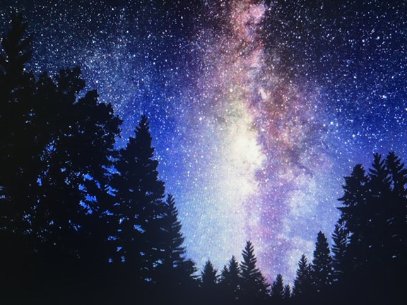 Star Gazing