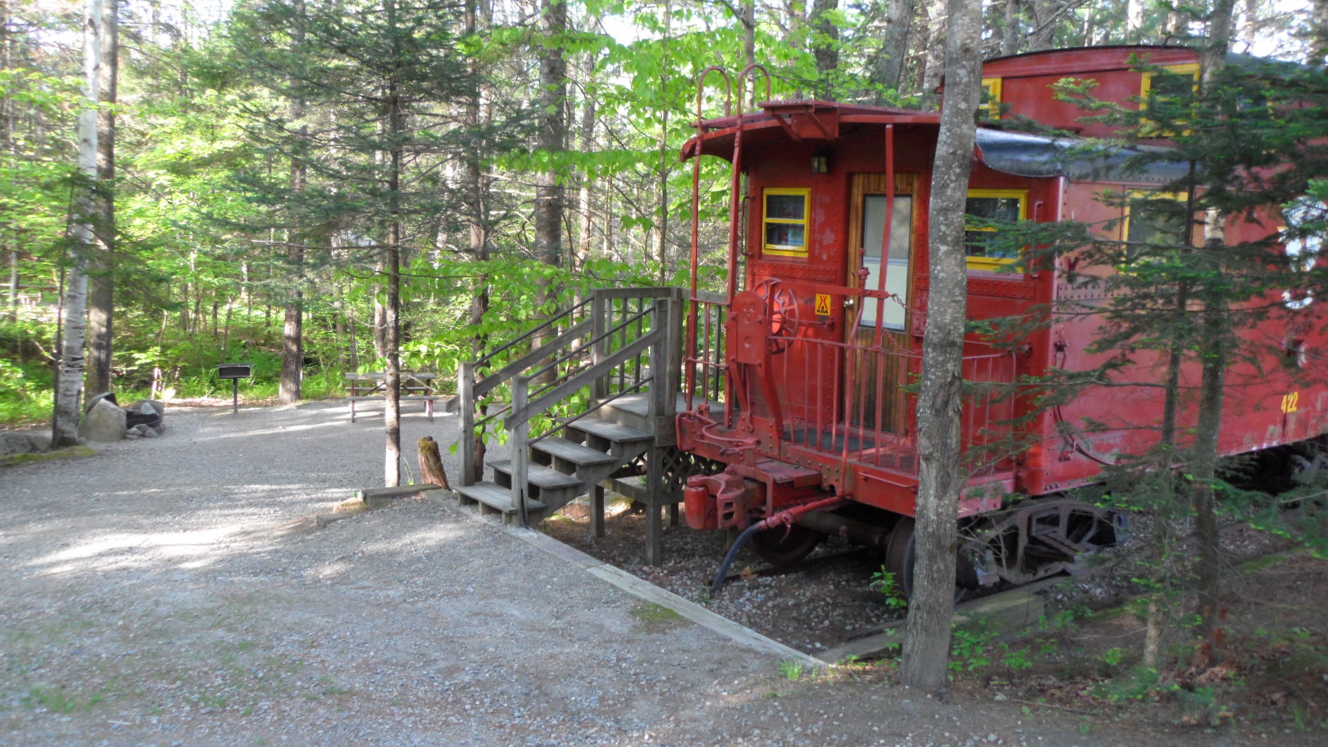 Nestled in the woods