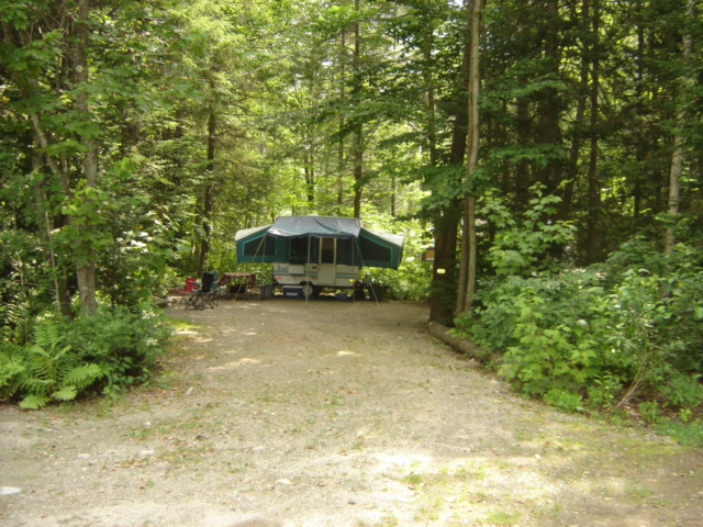 Wooded site