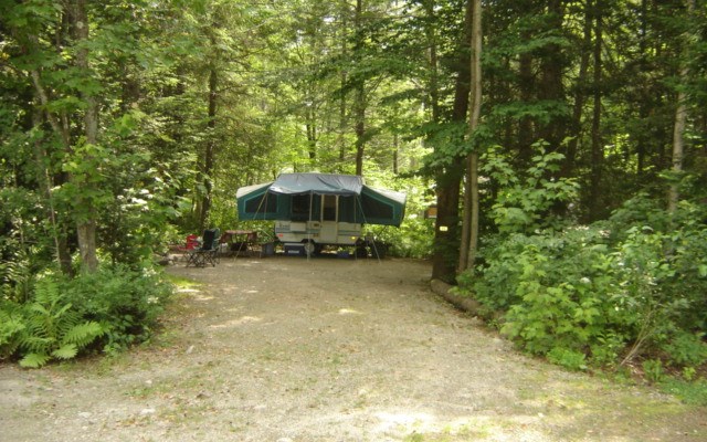Wooded site