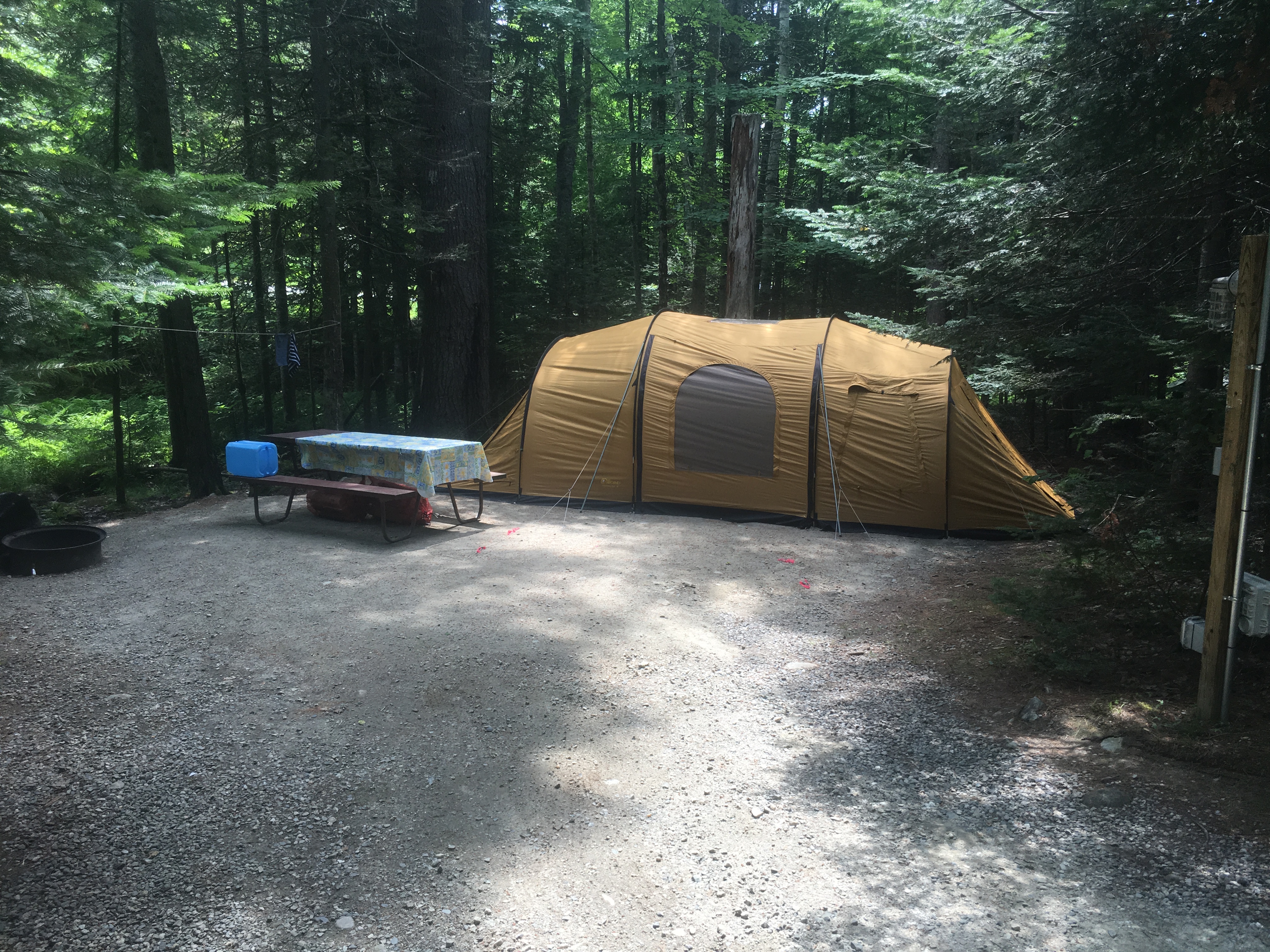 Nestled in the woods