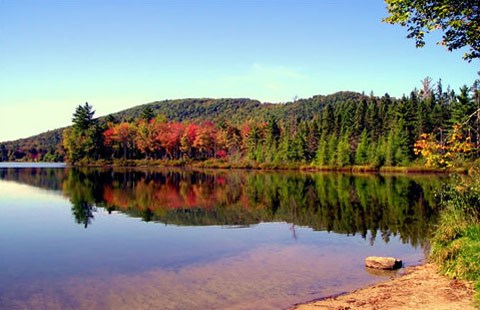 Martins Meadow Pond