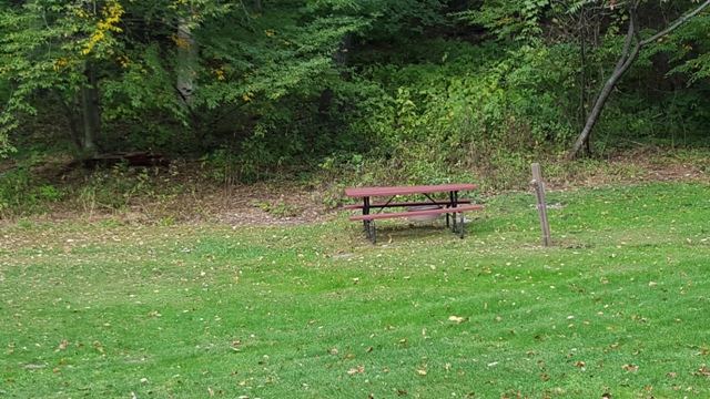 Tent Area