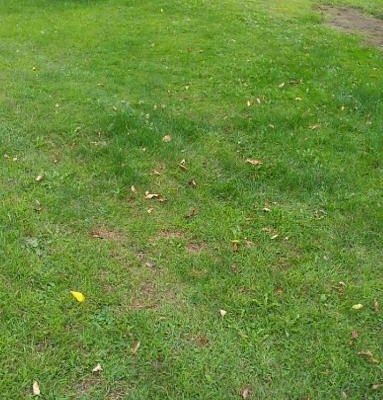 Pond Area