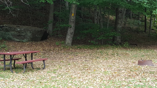 TOD Tent Area