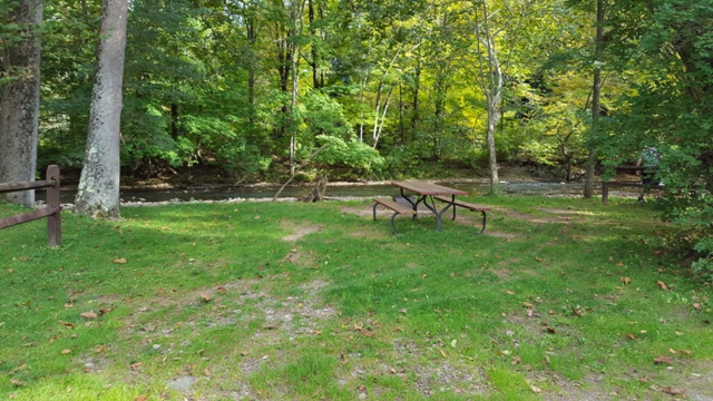 C09 Creek site