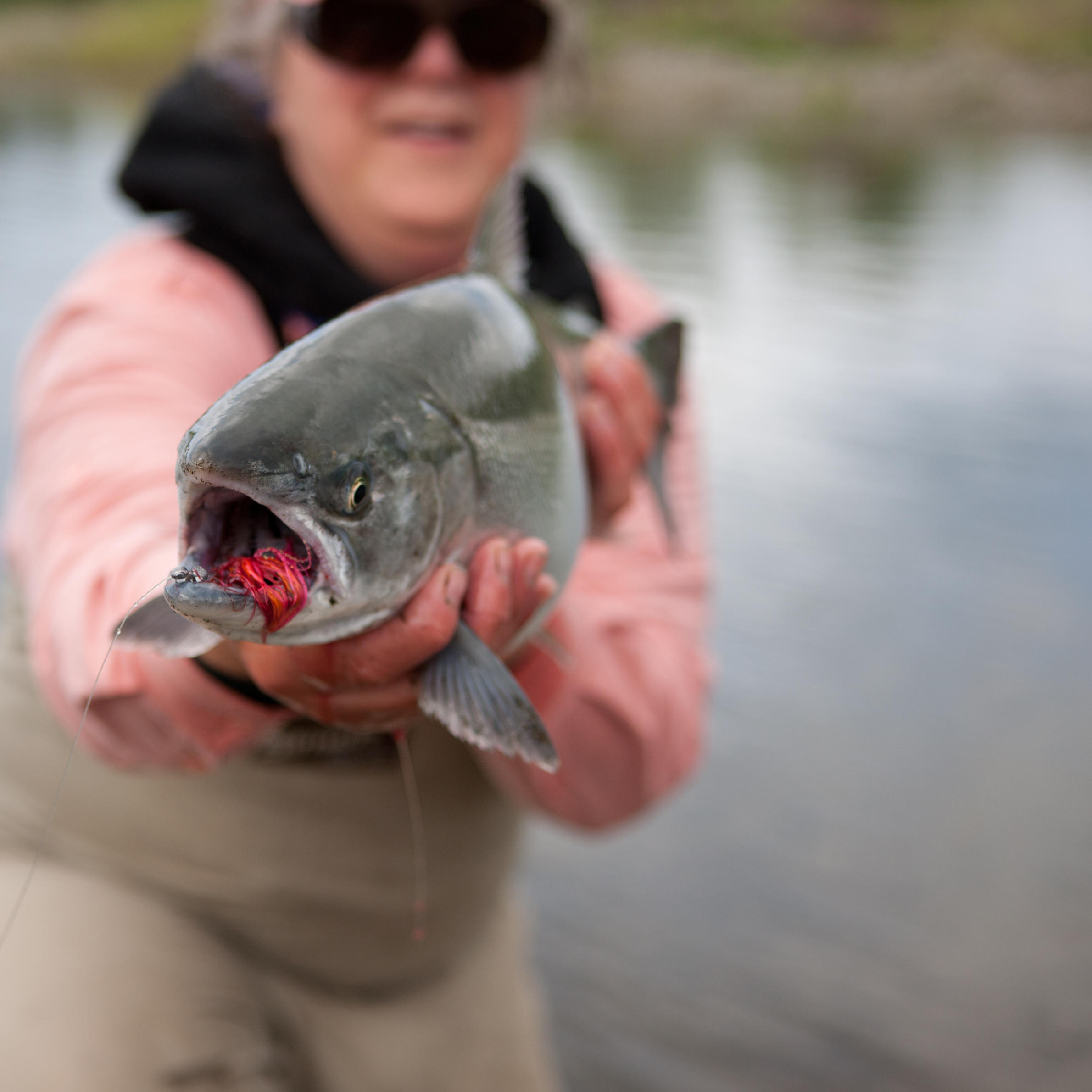 Women's Silver Salmon Derby Photo