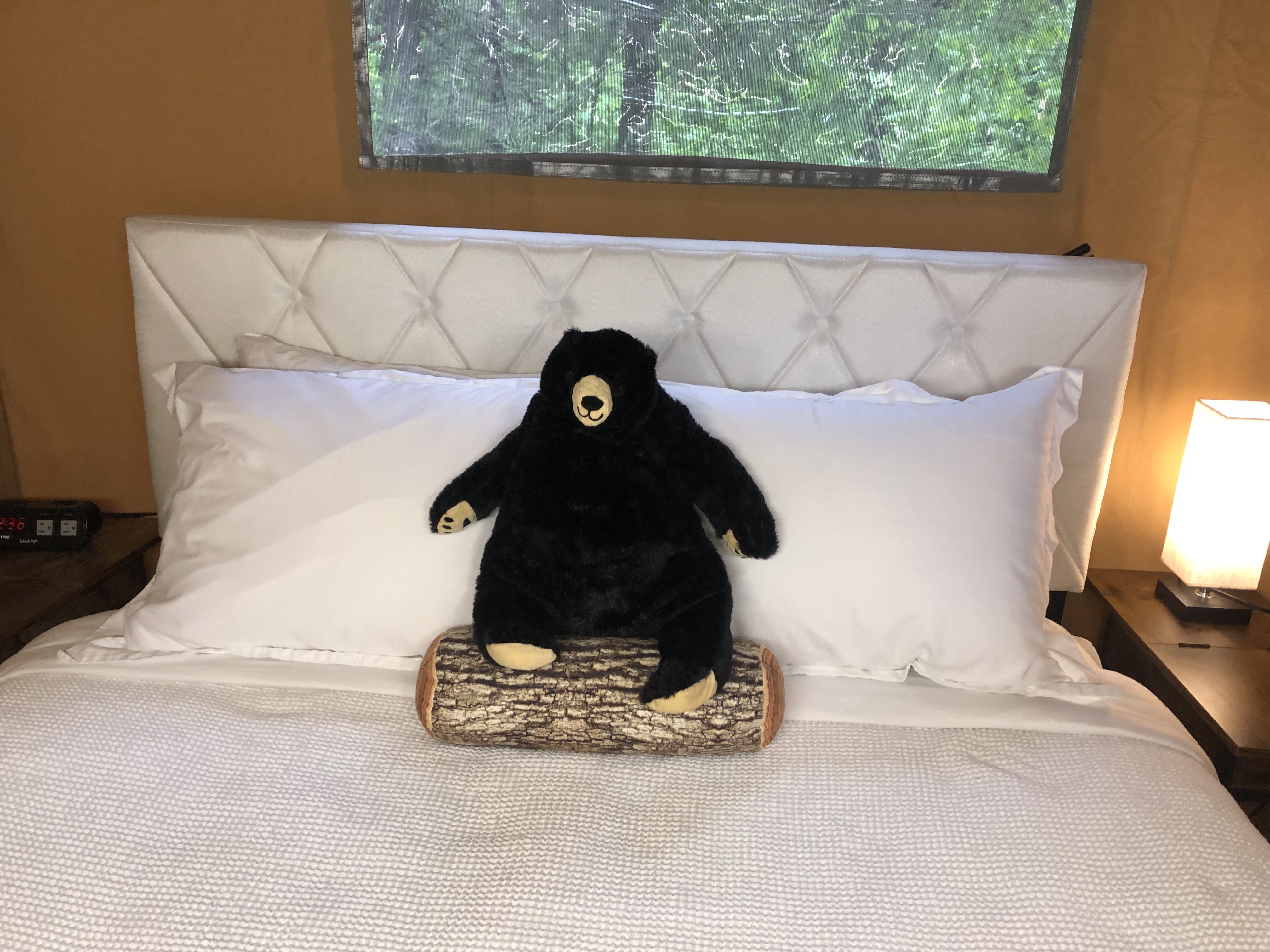 4 Person Glamping Tent Little Black Bear to Welcome You