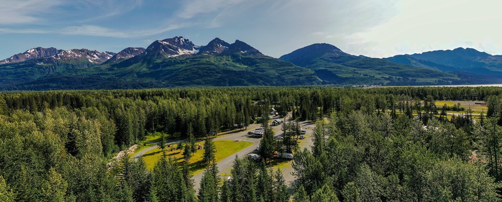 Distant bird's eye view