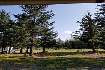 Tent Camping with Nature