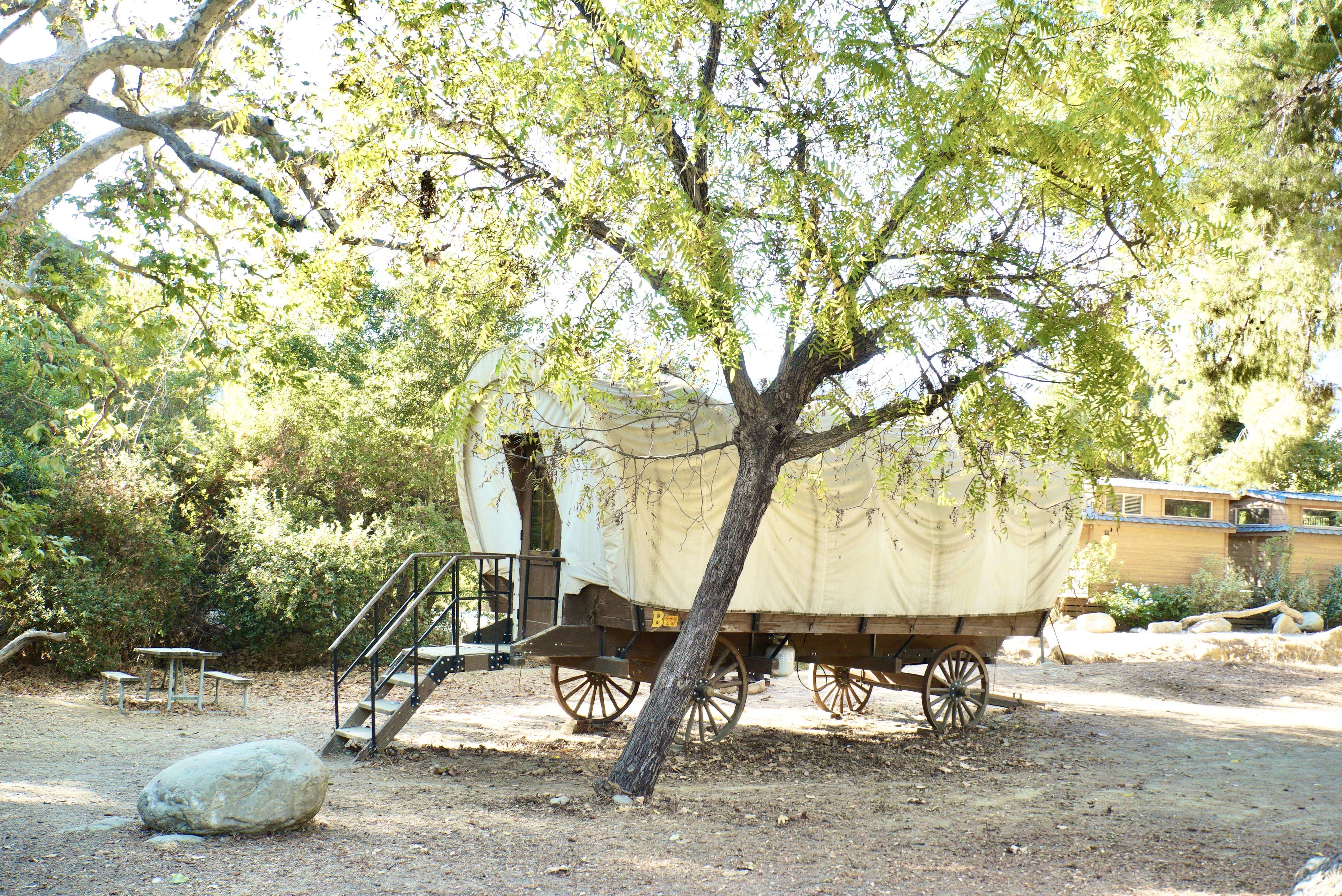 Wagon