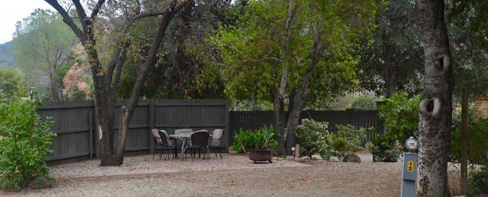 Pine 12 Back in Patio Site Full Hook Up