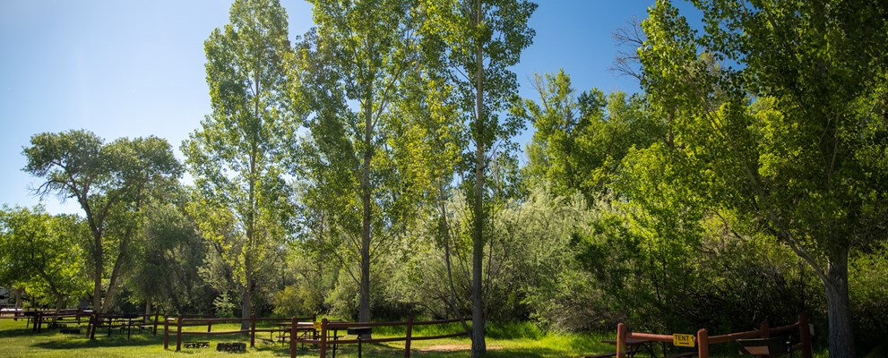 Vernal/Dinosaurland KOA Tent Sites