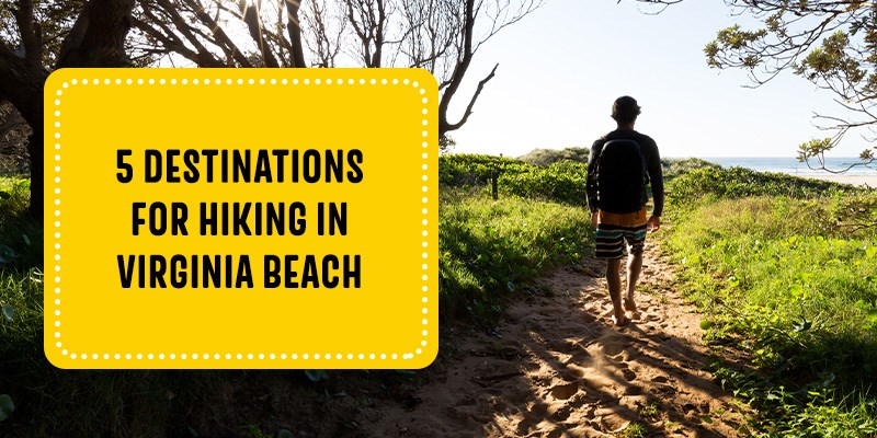 5 Destinations For Hiking in Virginia Beach