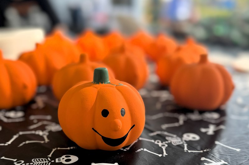 Fall Fest #1 Photo