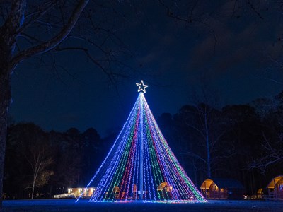 what is the weather like in virginia beach in january
