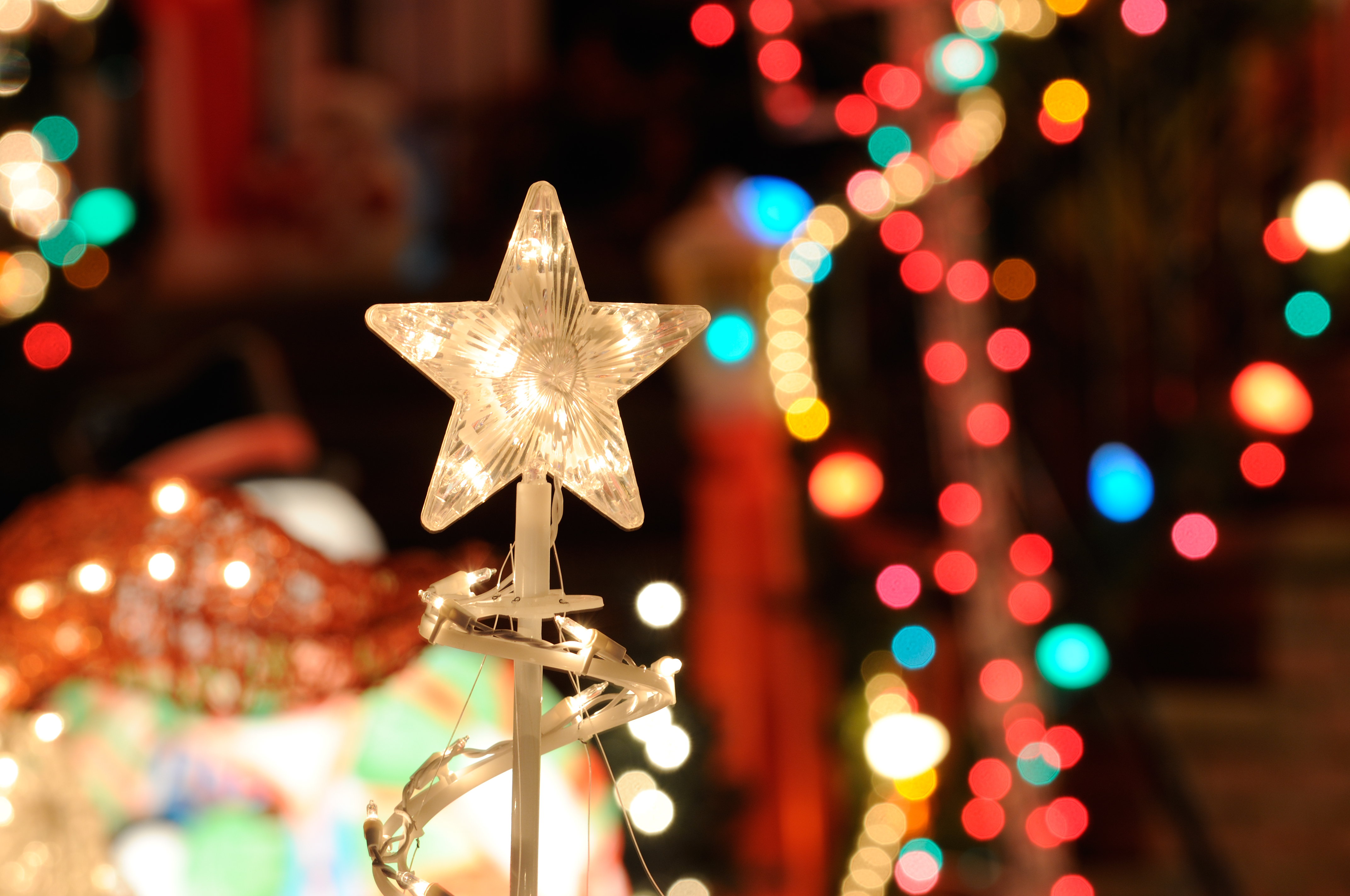 Holiday Lights at Virginia Aquarium Photo